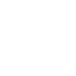 double-quote-serif-left-256